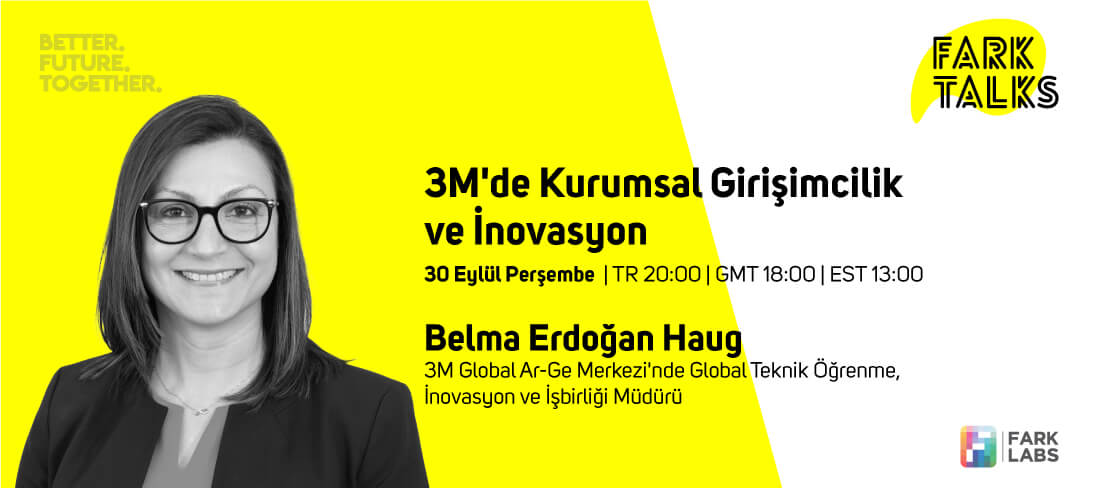 Corporate Entrepreneurship and Innovation at 3M