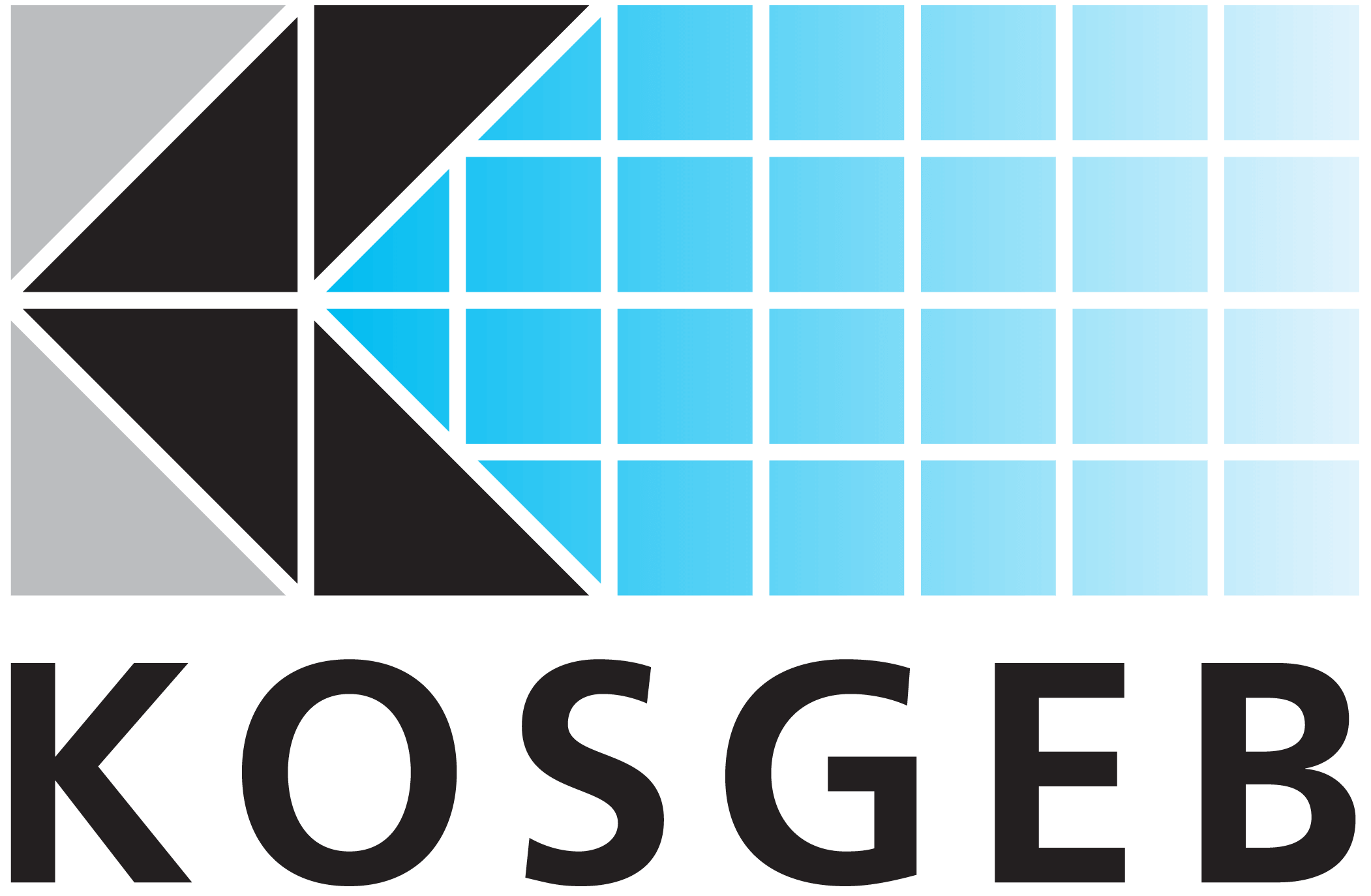 KOSGEB – T.C. Küçük ve Orta Ölçekli İşletmeleri Geliştirme ve Destekleme İdaresi Başkanlığı